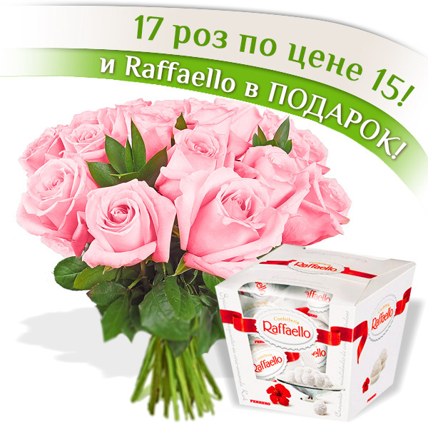 17 розовых роз + Raffaello